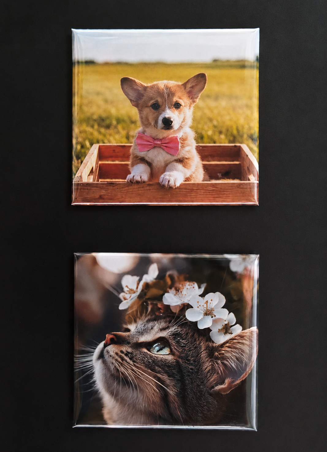 Magnet Foto Premium