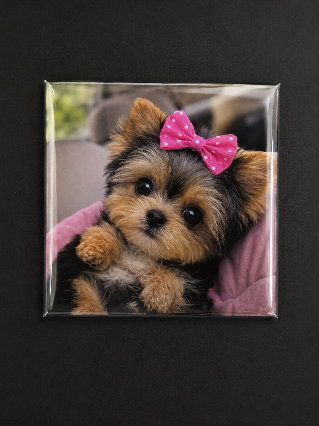 Magnet Foto Premium